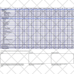 Advanced Cash Flow Forecast Template
